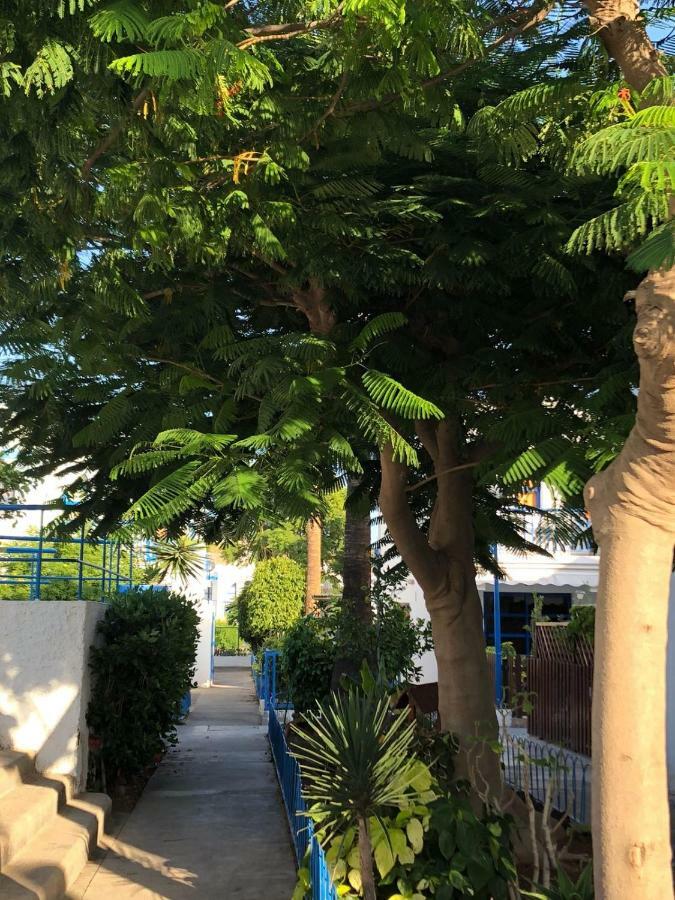פלאייה דל אינגלז Bungalow Playmar מראה חיצוני תמונה
